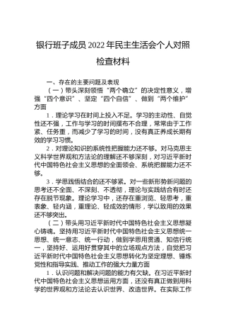银行班子成员2022年民主生活会个人对照检查材料