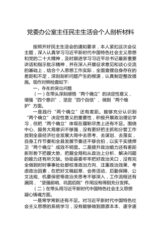 党委办公室主任2022年度民主生活会个人剖析材料