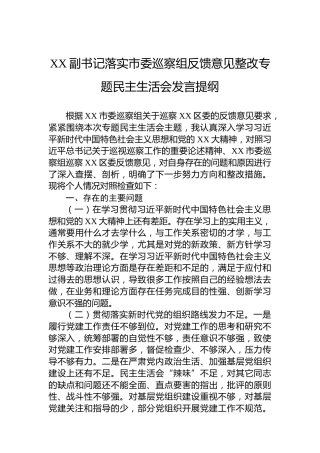 XX副书记落实市委巡察组反馈意见整改专题民主生活会发言提纲