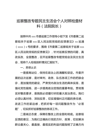 巡察整改专题民主生活会个人对照检查材料（法院院长）