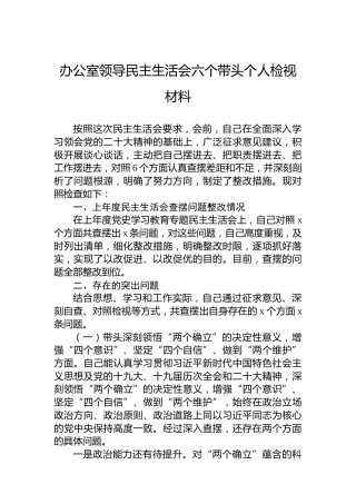 办公室领导民主生活会六个带头个人检视材料
