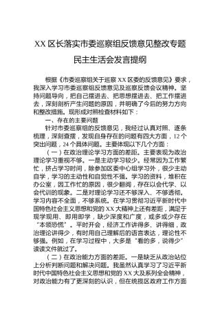 XX区长落实市委巡察组反馈意见整改专题民主生活会发言提纲