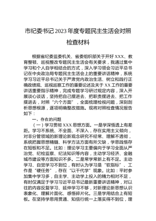 市纪委书记2023年度主题教育民主生活会对照检查材料