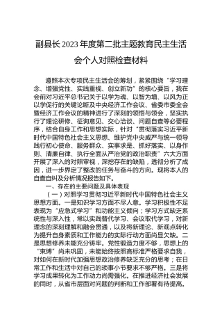 副县长2023年度第二批主题教育民主生活会个人对照检查材料
