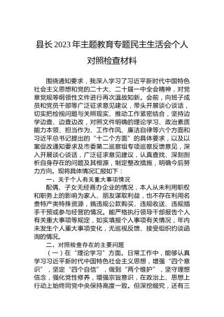 县长2023年主题教育专题民主生活会个人对照检查材料