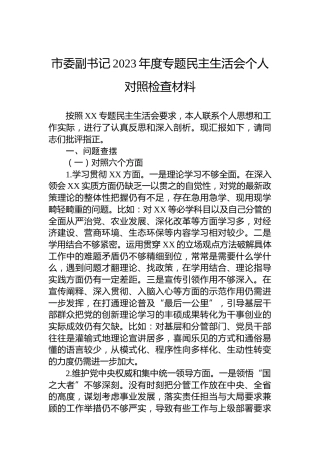 市委副书记2023年度主题教育民主生活会个人对照检查材料