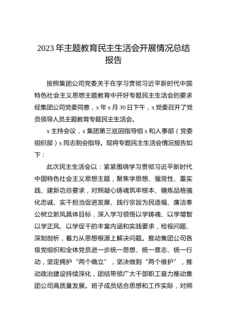 2023年主题教育民主生活会开展情况总结报告