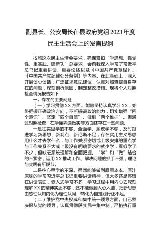 副县长、公安局长在县政府党组2023年度民主生活会上的发言提纲
