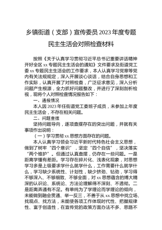 乡镇街道（支部）宣传委员2023年度主题教育民主生活会对照检查材料