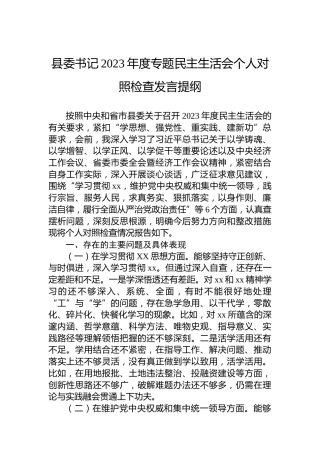 县委书记2023年度专题民主生活会个人对照检查发言提纲