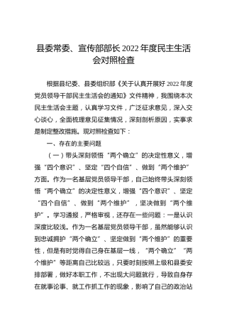 县委常委、宣传部部长2022年度民主生活会对照检查