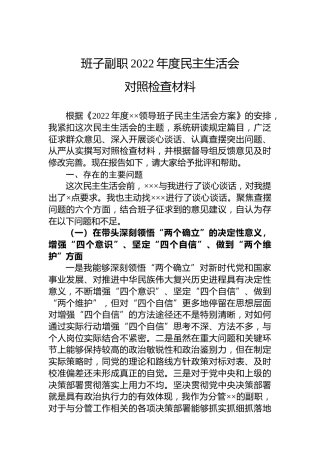 班子副职2022年度民主生活会对照检查材料
