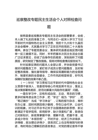 2022年巡察整改专题民主生活会个人对照检查问题