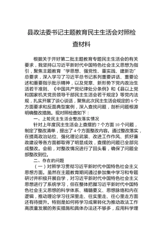 县政法委书记主题教育民主生活会对照检查材料