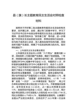 县（旗）长主题教育民主生活会对照检查材料