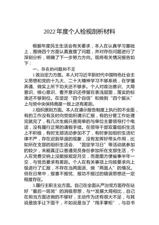 2022年度个人检视剖析材料