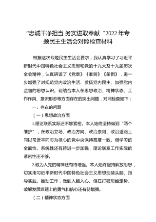 ”忠诚干净担当 务实进取奉献“2022年专题民主生活会对照检查材料