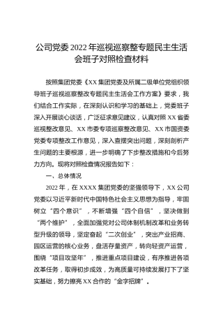 公司党委2022年巡视巡察整专题民主生活会班子对照检查材料