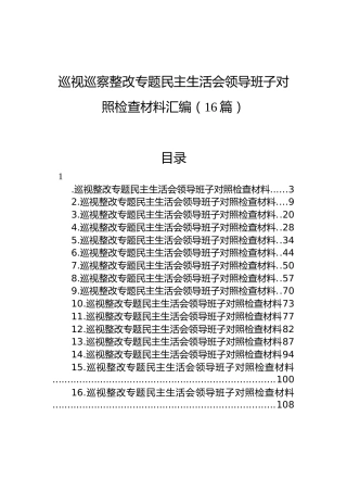 巡视巡察整改专题民主生活会领导班子对照检查材料汇编（16篇）