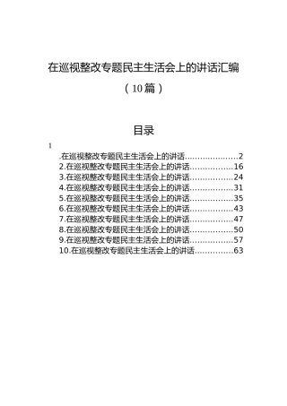 在巡视整改专题民主生活会上的讲话汇编（10篇）