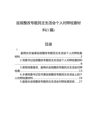 巡视整改专题民主生活会个人对照检查材料(5篇)
