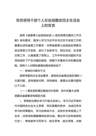 党员领导干部个人在巡视整改民主生活会上的发言(1)