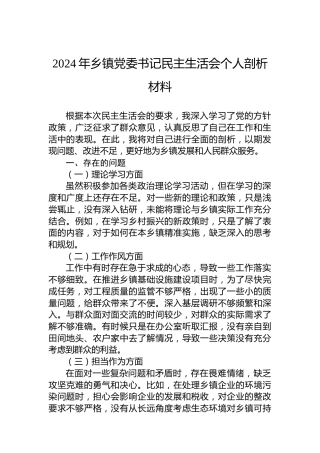 2024年乡镇党委书记民主生活会个人剖析材料