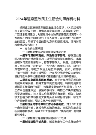 2024年巡察整改民主生活会对照剖析材料