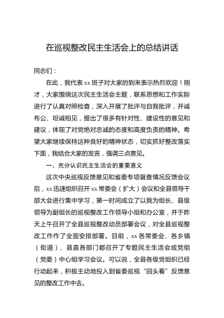 在巡视整改民主生活会上的总结讲话