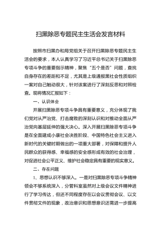 扫黑除恶专题民主生活会发言材料