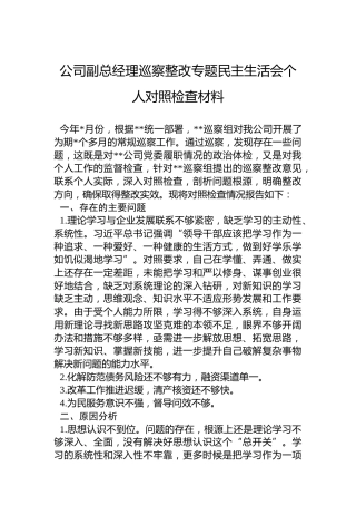 公司副总经理巡察整改专题民主生活会个人对照检查材料