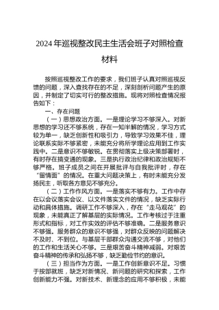 2024年巡视整改民主生活会班子对照检查材料