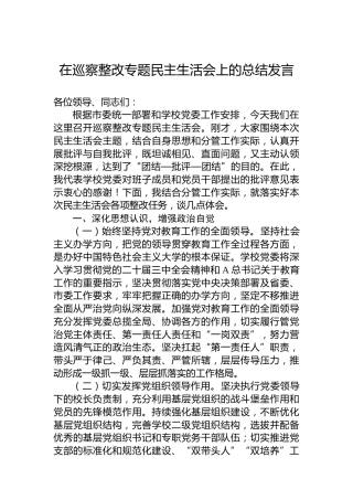 在巡察整改专题民主生活会上的总结发言