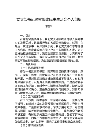 党支部书记巡察整改民主生活会个人剖析材料