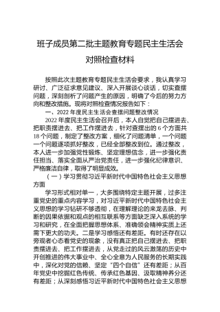 班子成员第二批主题教育民主生活会对照检查材料