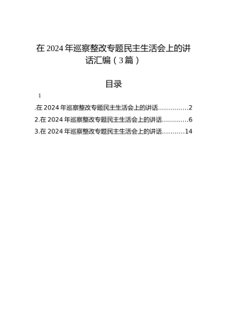 在2024年巡察整改专题民主生活会上的讲话汇编（3篇）