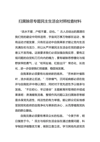 扫黑除恶专题民主生活会对照检查材料