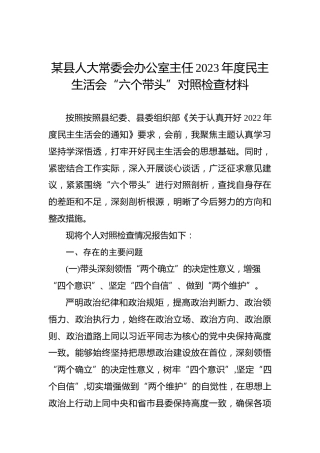 某县人大常委会办公室主任2023年度民主生活会“六个带头”对照检查材料