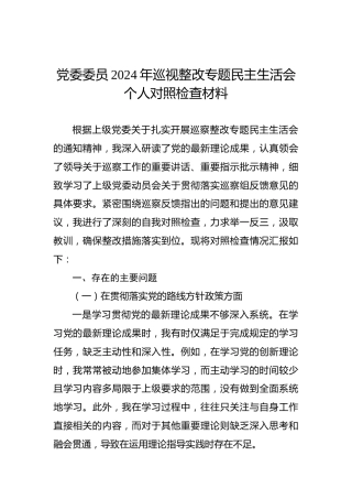 党委委员2024年巡视整改专题民主生活会个人对照检查材料