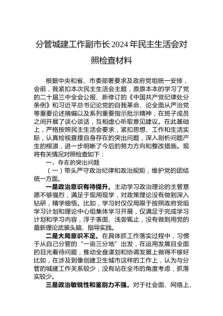 分管城建工作副市长2024年民主生活会对照检查材料