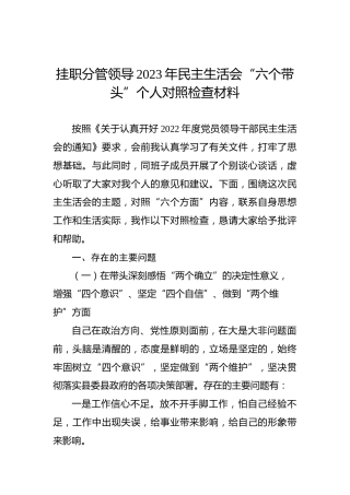 挂职分管领导2023年民主生活会“六个带头”个人对照检查材料
