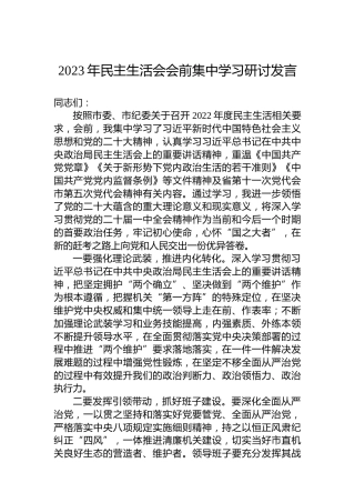 2023年民主生活会会前集中学习研讨发言