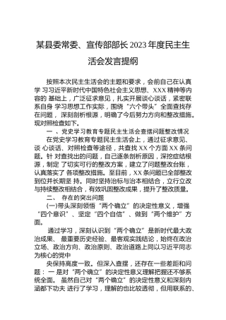 某县委常委、宣传部部长2023年度民主生活会发言提纲
