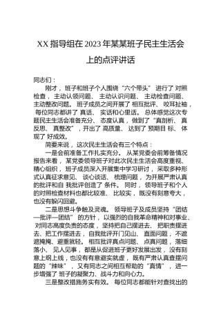 XX指导组在2023年某某班子民主生活会上的点评讲话