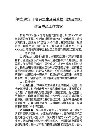 单位2022年度民主生活会查摆问题及意见建议整改工作方案