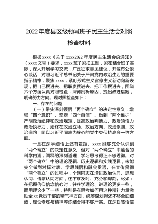 2022年度县区级领导班子民主生活会对照检查材料