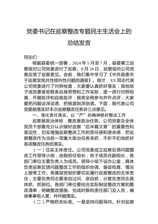 党委书记在巡察整改专题民主生活会上的总结发言