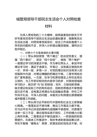 2022年城管局领导干部民主生活会个人对照检查材料