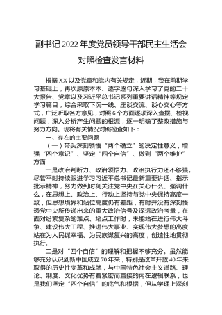 副书记2022年度党员领导干部民主生活会对照检查发言材料