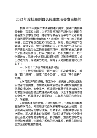 2022年度挂职副县长民主生活会发言提纲